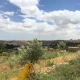 Guerre en Palestine : les U.C. Gaza apportent une aide d'urgence