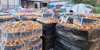 Emergency aid in Gaza shows effect: almost 400 families reached